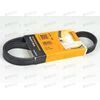 Ремень генератора Geely (5PK955) CONTITECH