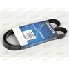 Ремень генератора (6PK1076) DAYCO