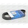 Ремень генератора (6PK1555) DAYCO