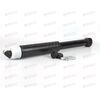 Амортизатор для а/м Renault Arkana (19-) 4x2 задн. (AG 09523) TRIALLI
