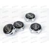 Болт крепления номерного знака NISSAN металлик (4 шт) AV