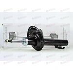 Амортизатор подвески (стойка в сборе) перед (газ/масло) (AG 09054) TRIALLI