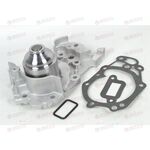 Насос водяной SANDERO/LOGAN/CLIO II/KANGOO/TWINGO (30894) ASAM