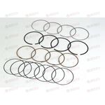 Кольца поршневые (480EF-1004030CA) CHERY