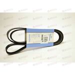 Ремень ручейковый (6PK1820) DAYCO