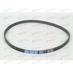 Ремень ручейковый (4PK875) Dongil