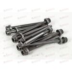 Болт ГБЦ VAG M10x1.5x115 (RIBE M10) (10 шт) (14-32126-01) Victor Reinz