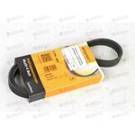 Ремень генератора (5PK884) CONTITECH