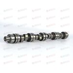 Вал распределительный AMULET (480EE-BJ1006015) CHERY