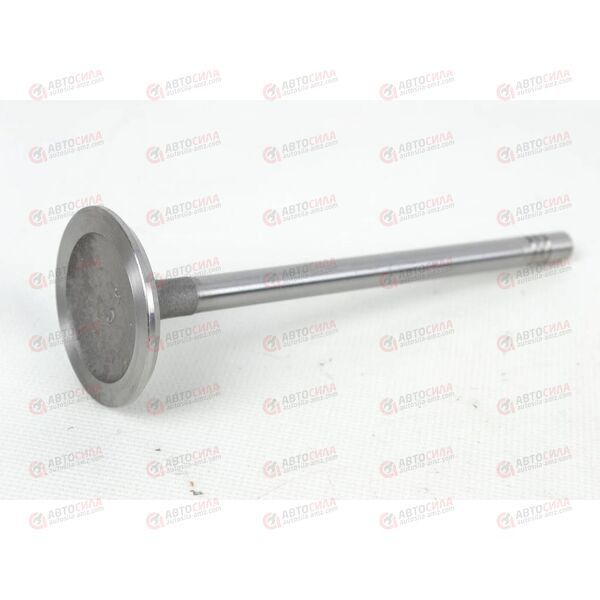 Клапан впускной (480E-1007011) CHERY