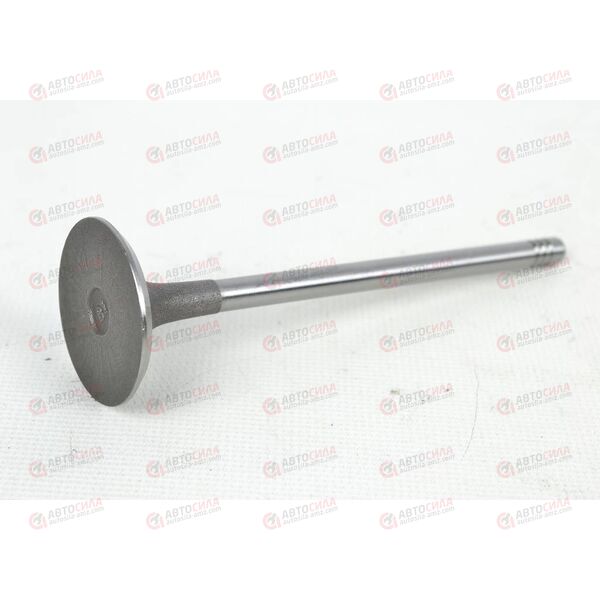 Клапан впускной (481H-1007011BA) CHERY