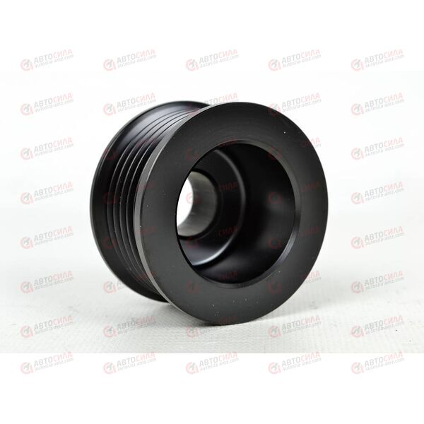 Шкив генератора (125А-6PK) SANDERO/LOGAN/MEGANE/CLIO II/LAGUNA II/LADA LARGUS/DACIA MCV (30606) ASAM