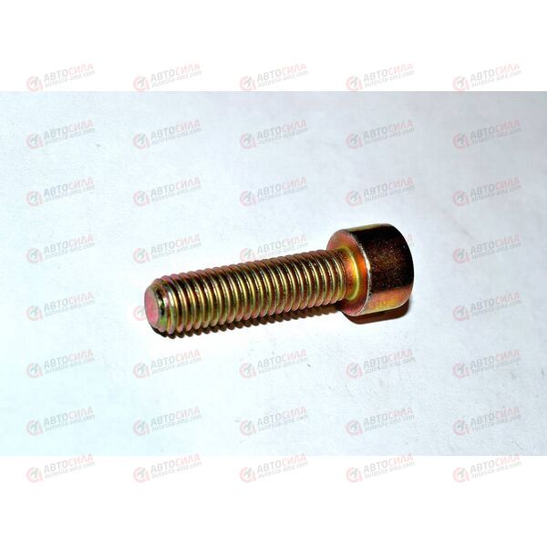 Болт 8х1,25х30 406 крышки цепи дросселя (короткий внутр шестигран) (1 шт в упак 20 шт) РЗИ