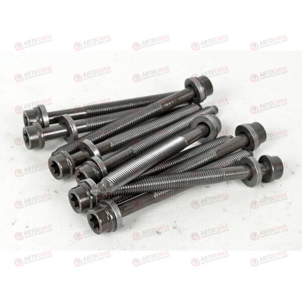 Болт ГБЦ VAG M10x1.5x115 (RIBE M10) (10 шт) (14-32126-01) Victor Reinz
