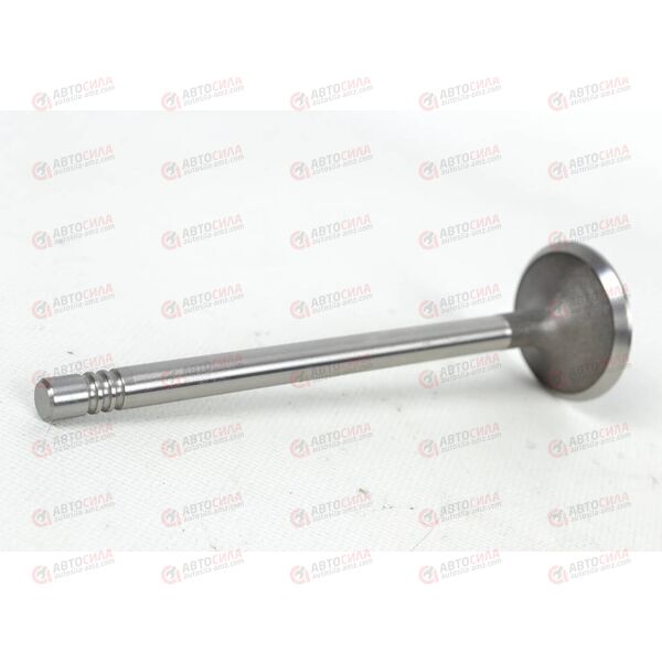 Клапан выпускной (480EF-1007012) CHERY, изображение 2