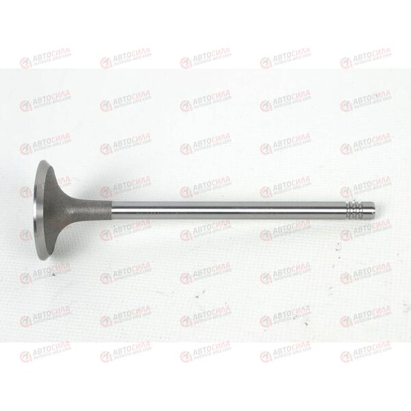 Клапан впускной (481H-1007011BA) CHERY, изображение 3