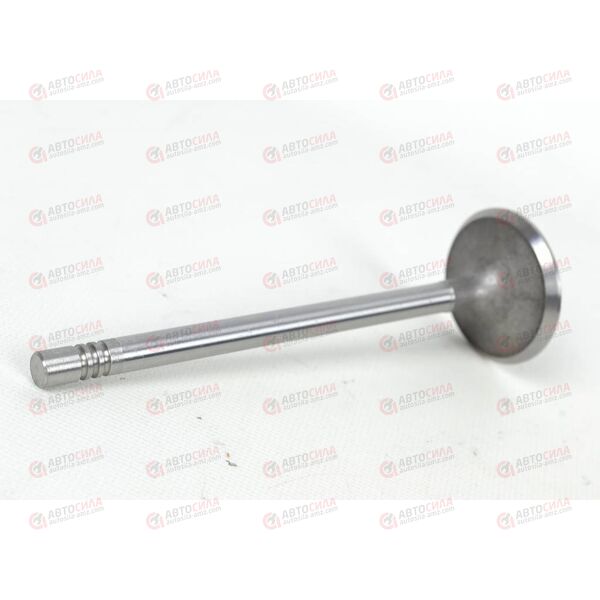 Клапан впускной (480E-1007011) CHERY, изображение 2