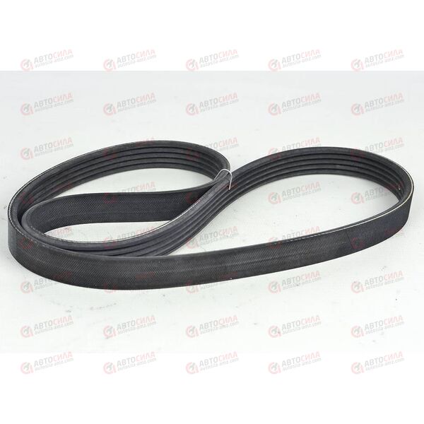 Ремень генератора Geely (5PK955) CONTITECH, изображение 2