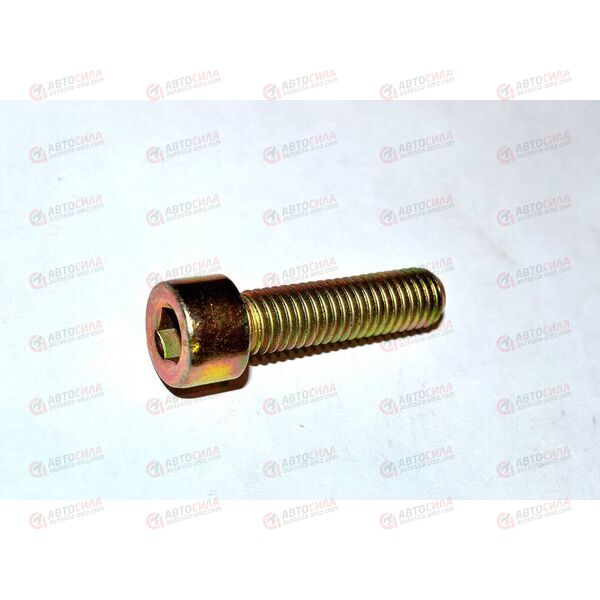 Болт 8х1,25х30 406 крышки цепи дросселя (короткий внутр шестигран) (1 шт в упак 20 шт) РЗИ, изображение 2
