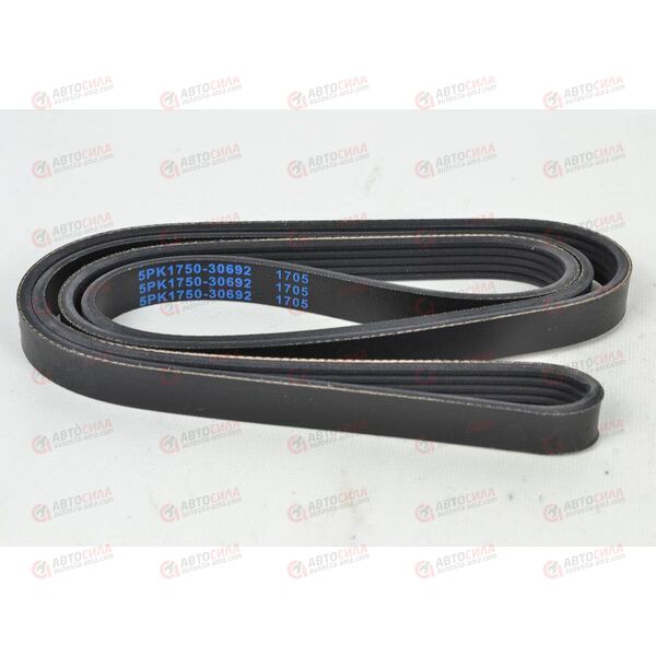 Ремень генератора Логан 1,4/1,6 8V с ГУРом и конд (ручейковый) (5PK1750) 04- (30692) ASAM, изображение 2