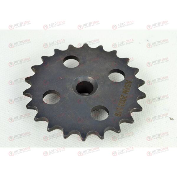 Звездочка масляного насоса SANDERO/LOGAN/DUSTER/MEGANE II/CLIO II/KANGOO/LARGUS/MCV (30415) ASAM, изображение 2
