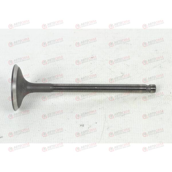 Клапан впускной SHINHAN (22211-37201) OEM РАСПРОДАЖА, изображение 3