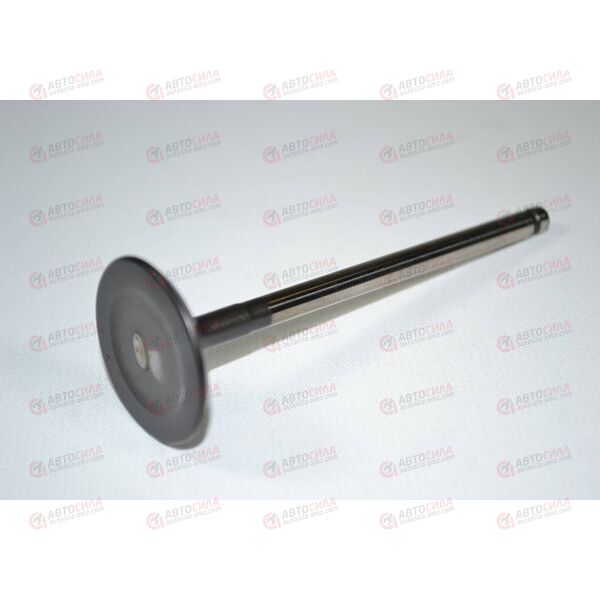 Клапан впускной (22211-2B400) Hyundai-KIA, изображение 4