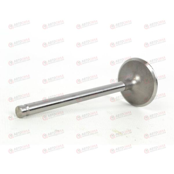 Клапан впускной LOGAN (7701475894) RENAULT, изображение 4