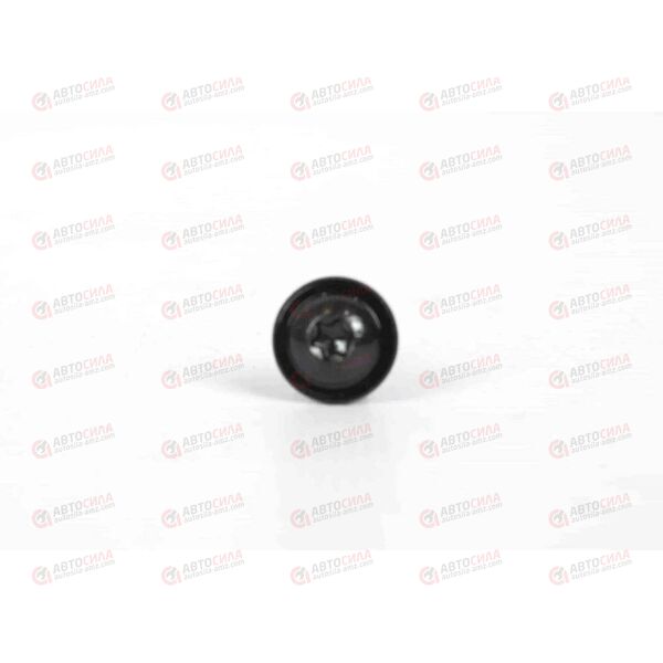 Винт 5,2х14мм (Torx) со шляпкой (N90829803AV) AVERS, изображение 3