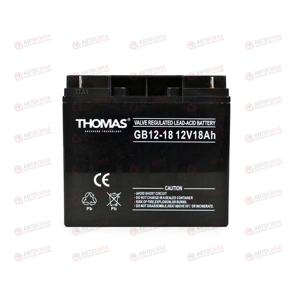 АКБ ИБП THOMAS 12V/18Ah (R+) (0) SMF (181x77x167) (1шт, уп 2 шт), изображение 2