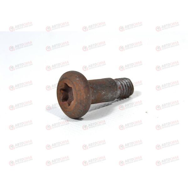 Болт 8х1,25х25 406 успокоителя нижний (короткий) (1 шт в упак 10 шт) Кр.Этна, изображение 2
